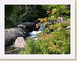 190. fiume bosco * 2272 x 1704 * (2.6MB)